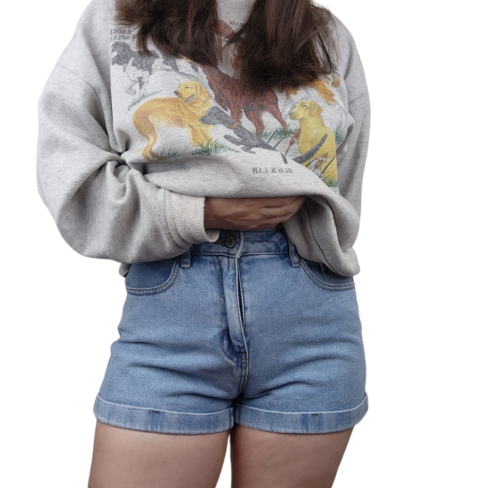 Pacsun Amber Blue Denim mom shorts